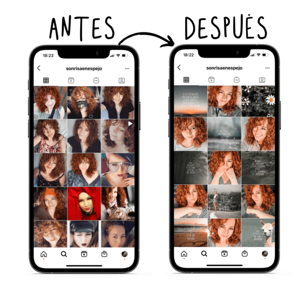 Testimonios My beatifull feed Curso agripina